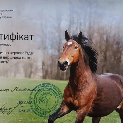 Сертифікати та дипломи